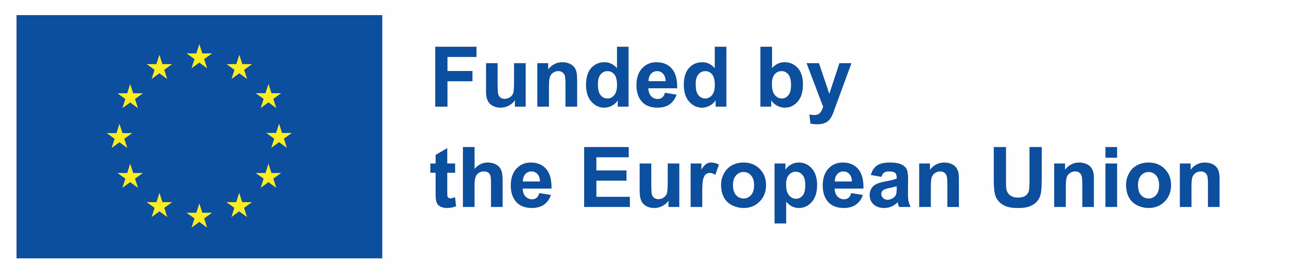 Logo indicating that the project is funded by the EU
